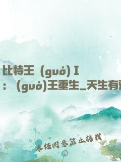 比特王國(guó)Ⅰ: 國(guó)王重生